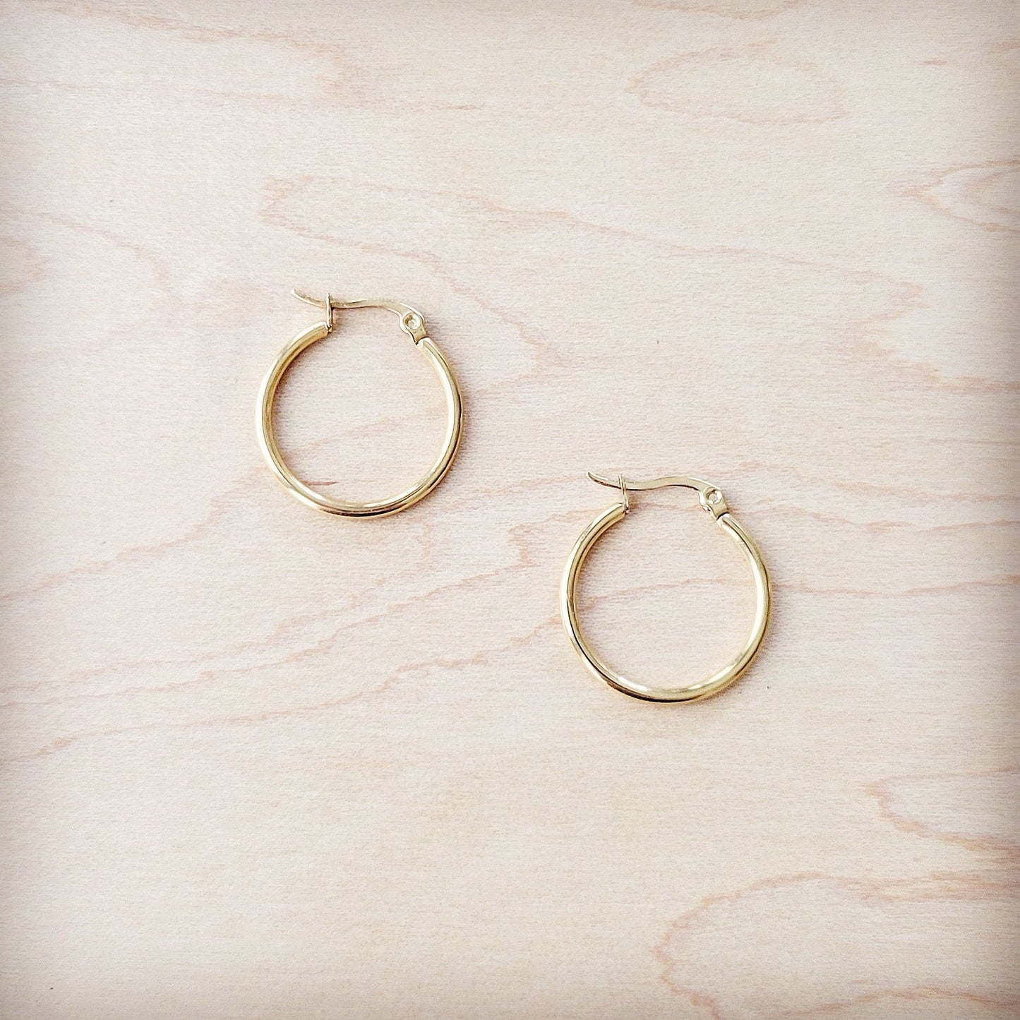 **Small Stainless Steel Hoop Earrings 18K Gold Plating 219a