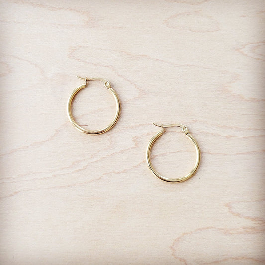 **Small Stainless Steel Hoop Earrings 18K Gold Plating 219a