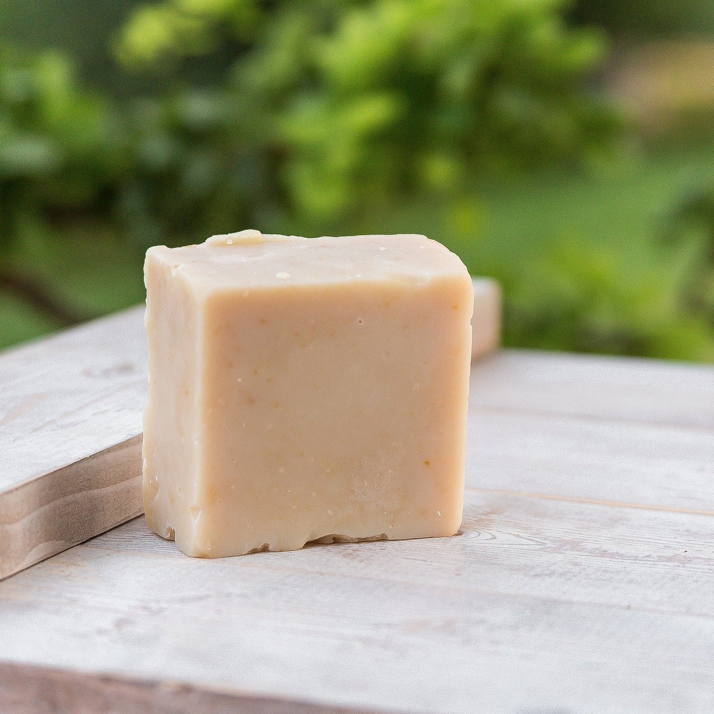Shampoo Goat Milk Soap Bar