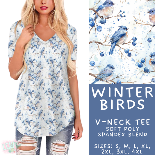 Batch #435 - Winter Wonderland 3 - Closes 10/23 - ETA early/mid Dec - Winter Birds V-Neck Tee